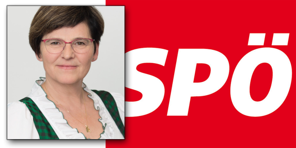 Birgit Sandler, SPÖ